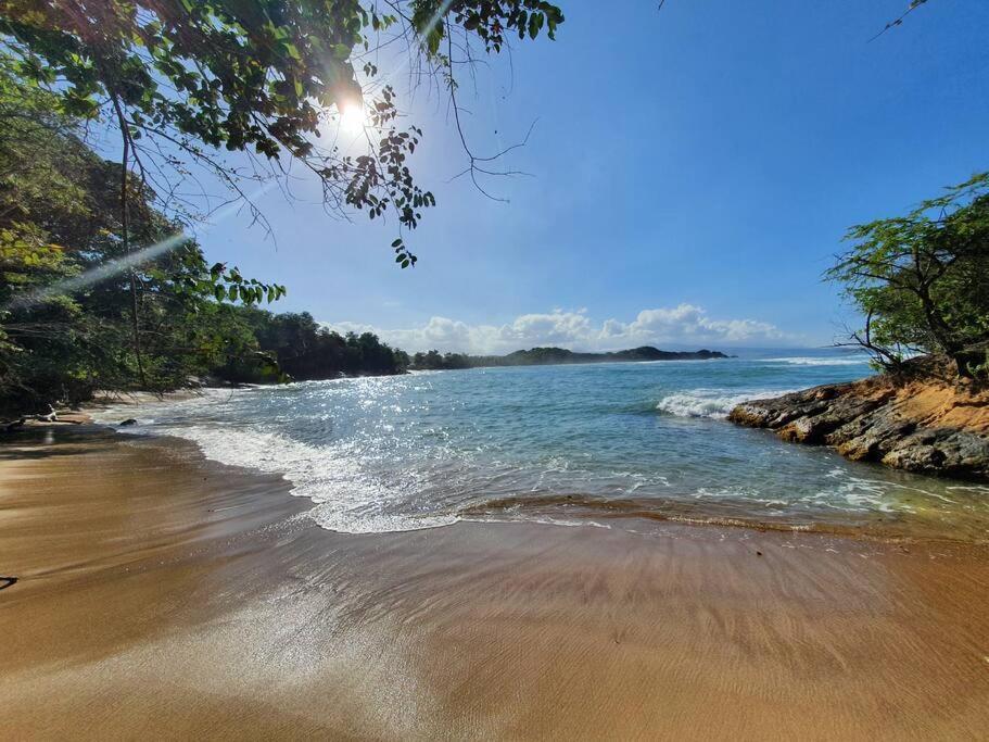 Villa Sunshine La Trinité Dış mekan fotoğraf